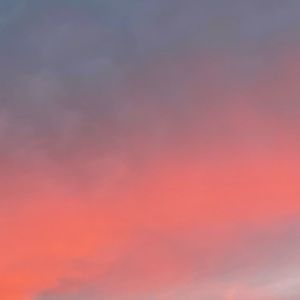 Meet your Posher, Reya